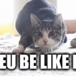 iceu | ICEU BE LIKE RN | image tagged in gifs,cat | made w/ Imgflip video-to-gif maker