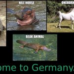 Descriptive animal names | image tagged in descriptive animal names,turtle,hippopotamus,unicorn,platypus | made w/ Imgflip meme maker