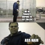 a hair | ME IN PUBERTY HOPING TO GET TALLER; ASS HAIR | image tagged in hulk taco,puberty,ass,ass hair | made w/ Imgflip meme maker