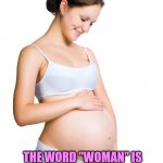 Woman vs Wombman | TO ALLEVIATE CONFUSION; THE WORD "WOMAN" IS TO BE REPLACED BY THE WORD; "WOMBMAN" | image tagged in pregnant woman,trans,transgender,lgbtqia,lgbtq | made w/ Imgflip meme maker