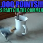 YAYYY!!!!!!!!!!!!!!!!!!!!!! | 10,000 POINTS!!!!! LETS PARTY IN THE COMMENTS!! | image tagged in gifs,yay,points,party of hate,birds | made w/ Imgflip video-to-gif maker
