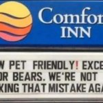 No bears allowed