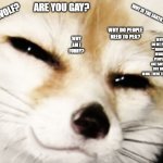 true tho | ARE YOU GAY? AM I A WOLF? WHY DO WE PUT "" AROUND WHAT PEOPLE ARE SAYING BUT NOT WHAT THERE THINKING? WHY IS THE EARTH ROUND? WHY DO PEOPLE NEED TO PEA? WHY AM I FURRY? | image tagged in what you just say | made w/ Imgflip meme maker