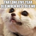 please use this templet | THAT ONE FIVE YEAR OLD WHEN HES TOLD NO | image tagged in cry baby | made w/ Imgflip meme maker