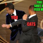 Why We Love Our Cats | YOU JUST SHUT UP AND FEED ME FOOL; YOU; CATS | image tagged in will smack,cats are awesome,cute cat,funny cat memes,grumpy cat not amused | made w/ Imgflip meme maker