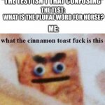 look at all them HEESE | "THE TEST ISN'T THAT CONFUSING"; THE TEST: 
WHAT IS THE PLURAL WORD FOR HORSE? ME: | image tagged in what the cinnamon toast f is this | made w/ Imgflip meme maker