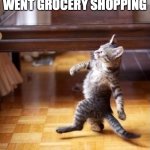 Cat walking | ME GOING TO THE FRIDGE KNOWING I JUST WENT GROCERY SHOPPING | image tagged in memes,cool cat stroll,funny | made w/ Imgflip meme maker