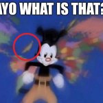 ??? | AYO WHAT IS THAT? | image tagged in yakko's world | made w/ Imgflip meme maker