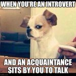 Introvert | WHEN YOU'RE AN INTROVERT; AND AN ACQUAINTANCE SITS BY YOU TO TALK | image tagged in funny,relatable | made w/ Imgflip meme maker