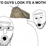 Möth | YO GUYS LOOK ITS A MOTH!! | image tagged in wojak pointing men,moth,moth meme | made w/ Imgflip meme maker