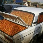 Car full of oranges