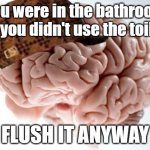 Scumbag Brain | You were in the bathroom but you didn't use the toilet? FLUSH IT ANYWAY | image tagged in memes,scumbag brain | made w/ Imgflip meme maker