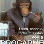 laura cancela mis citas voy a drogarme