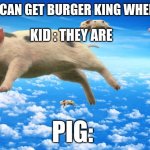 When pigs fly | MOM: WE CAN GET BURGER KING WHEN PIGS FLY; KID : THEY ARE; PIG: | image tagged in when pigs fly | made w/ Imgflip meme maker