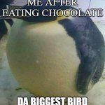 Meme #36 (2023) | ME AFTER EATING CHOCOLATE; DA BIGGEST BIRD | image tagged in i'm da biggest bird,lol | made w/ Imgflip meme maker