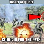 ?? | TARGET ACQUIRED; GOING IN FOR THE PETS | image tagged in guys on battlefield | made w/ Imgflip meme maker