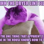 RayCat Stare | AHHHH THE DRYER LINT FILTER; THE ONE THING THAT APPARENTLY NO ONE IN THE HOUSE KNOWS HOW TO CLEAN | image tagged in raycat stare,memes | made w/ Imgflip meme maker