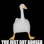 Title | YOU JUST GOT GOOSED | image tagged in gifs,goose | made w/ Imgflip video-to-gif maker