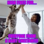 HIGH FIVES ALL AROUND! | HIGH FIVES FOR.... EVERYONE FROM A BABY CHEETAH!!!! | image tagged in andy samberg meme | made w/ Imgflip meme maker