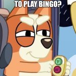 Bingo Yes/No Button | DO YOU WANT TO PLAY BINGO? | image tagged in bingo yes/no button | made w/ Imgflip meme maker