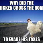 why did the chicken cross the road? | WHY DID THE CHICKEN CROSS THE ROAD? TO EVADE HIS TAXES | image tagged in why did the chicken cross the road | made w/ Imgflip meme maker
