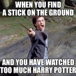Harry potter | WHEN YOU FIND A STICK ON THE GROUND; AND YOU HAVE WATCHED TOO MUCH HARRY POTTER | image tagged in harry potter | made w/ Imgflip meme maker