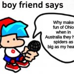 The Boyfriend's View on Ohio | Why make fun of Ohio when in Australia they have spiders as big as my head? | image tagged in the boyfriend says,memes | made w/ Imgflip meme maker