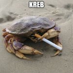 Kreb meme