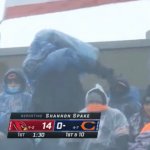 Bears bag fan