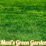 touching grass | Maxi's Green Garden | image tagged in touching grass,maxi's green garden,slavic,maxis green garden | made w/ Imgflip meme maker