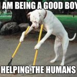 Good Boy | I AM BEING A GOOD BOY; HELPING THE HUMANS | image tagged in dog poop | made w/ Imgflip meme maker