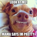 Pretty Boy | LOOK AT ME! MAMA SAYS IM PRETTY | image tagged in phteven | made w/ Imgflip meme maker