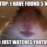 my laptop actually got virus | MY LAPTOP: I HAVE FOUND 5 VIRUSES; ME WHO JUST WATCHES YOUTUBE ON IT | image tagged in facetime hamster | made w/ Imgflip meme maker