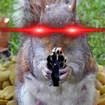 no simps | GET READY TO DIE SIMP | image tagged in funny squirrels with guns 5 | made w/ Imgflip meme maker