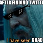 There be some chads there all I’m saying (Not Elon musk tho) | ME AFTER FINDING TWITTER; CHADS | image tagged in saruman i have seen it lord of the rings,chad,memes,funny memes,funny,meme | made w/ Imgflip meme maker