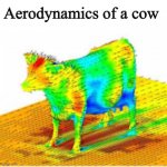 Aerodynamics of a cow | Aerodynamics of a cow | image tagged in aerodynamics of a cow | made w/ Imgflip meme maker