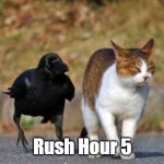 rush hour 5 | Rush Hour 5 | image tagged in raven following cat,cats,crow,rush hour | made w/ Imgflip meme maker