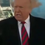 Trump’s messy hair