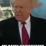 Trump toupe-asteless | MY DAMN HAIRDRESSER FORGOT MY TOUPE-ASTE | image tagged in trump s messy hair | made w/ Imgflip meme maker