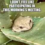 Non participating frog | I DON’T FEEL LIKE PARTICIPATING IN THIS MORNING’S MEETING | image tagged in non participating frog | made w/ Imgflip meme maker