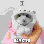 I made a meme | HI; HAMSTER | image tagged in holding hamster,memes,funny,sus,funny memes,distracted boyfriend | made w/ Imgflip meme maker