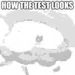 Why Do I Feel Like They Do This On Purpose So You Can't Read It And Get Everything Wrong | HOW THE TEST LOOKS | image tagged in mario wtf | made w/ Imgflip meme maker
