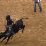 child on bull riding texas rodeo JPP GIF Template