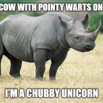 Chubby Unicorn | I'M NOT A COW WITH POINTY WARTS ON MY NOSE... I'M A CHUBBY UNICORN | image tagged in rhino tomorrow,delusional | made w/ Imgflip meme maker