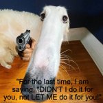 A Borzoi who had enough with the memes | "For the last time, I am saying, "DIDN'T I do it for you, not LET ME do it for you!" | image tagged in borzoi,let me do it for you,didn't i do it for you,memes,dogs,don't read the tags | made w/ Imgflip meme maker
