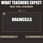 Braincell aquired | WHAT TEACHERS EXPECT; BRAINCELLS | image tagged in you got tf2 shit | made w/ Imgflip meme maker
