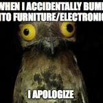 Pootoo Bird | WHEN I ACCIDENTALLY BUMP INTO FURNITURE/ELECTRONICS I APOLOGIZE | image tagged in pootoo bird | made w/ Imgflip meme maker