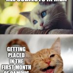 my mba education in a nutshell | GETTING C+ IN ALL SUBJECTS IN MBA; GETTING PLACED IN THE FIRST MONTH OF CAMPUS PLACEMENTS | image tagged in sad happy cat,mba,college,placements,studying,students | made w/ Imgflip meme maker