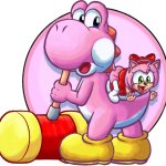 Pink Yoshi & baby Amy