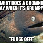 Talk about "bittersweet". | WHAT DOES A BROWNIE SAY WHEN IT'S GRUMPY? "FUDGE OFF!" | image tagged in memes,bad joke eel,brownies,dessert,food,grumpy | made w/ Imgflip meme maker